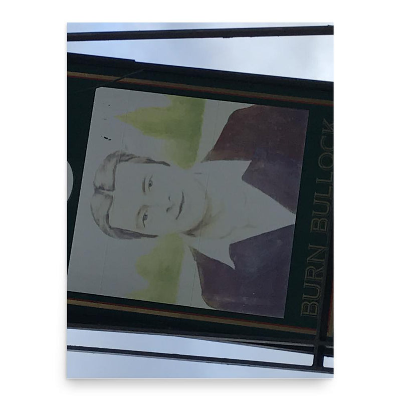 Burnett Bullock poster print, in size 18x24 inches.