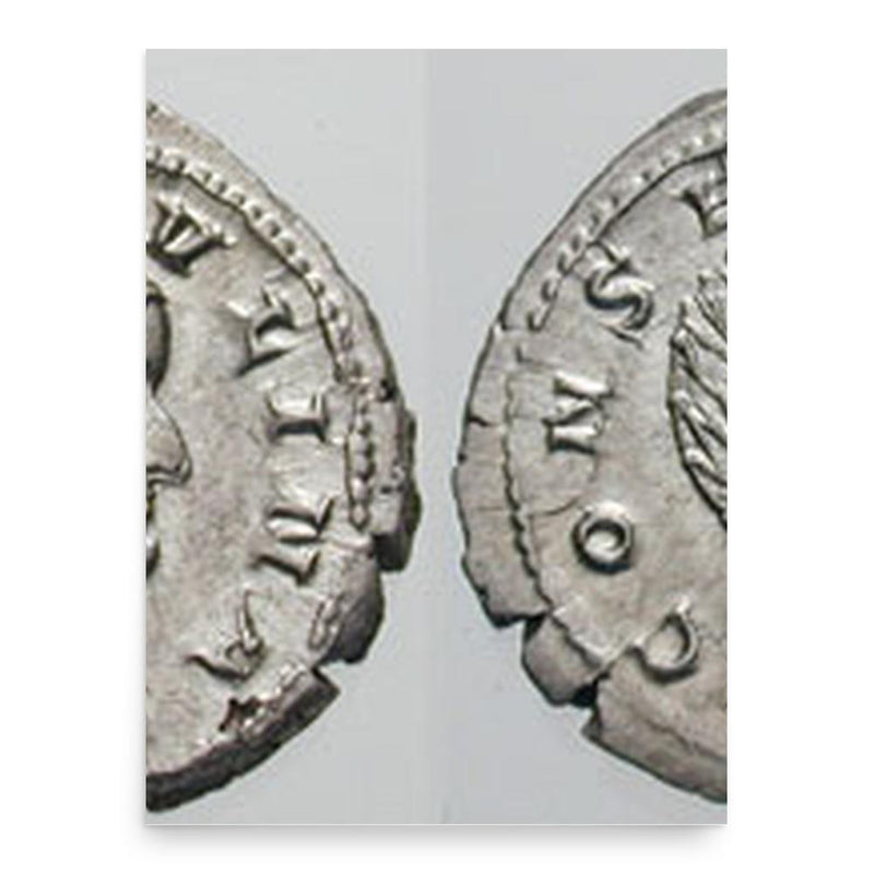 Caecilia Paulina poster print, in size 18x24 inches.