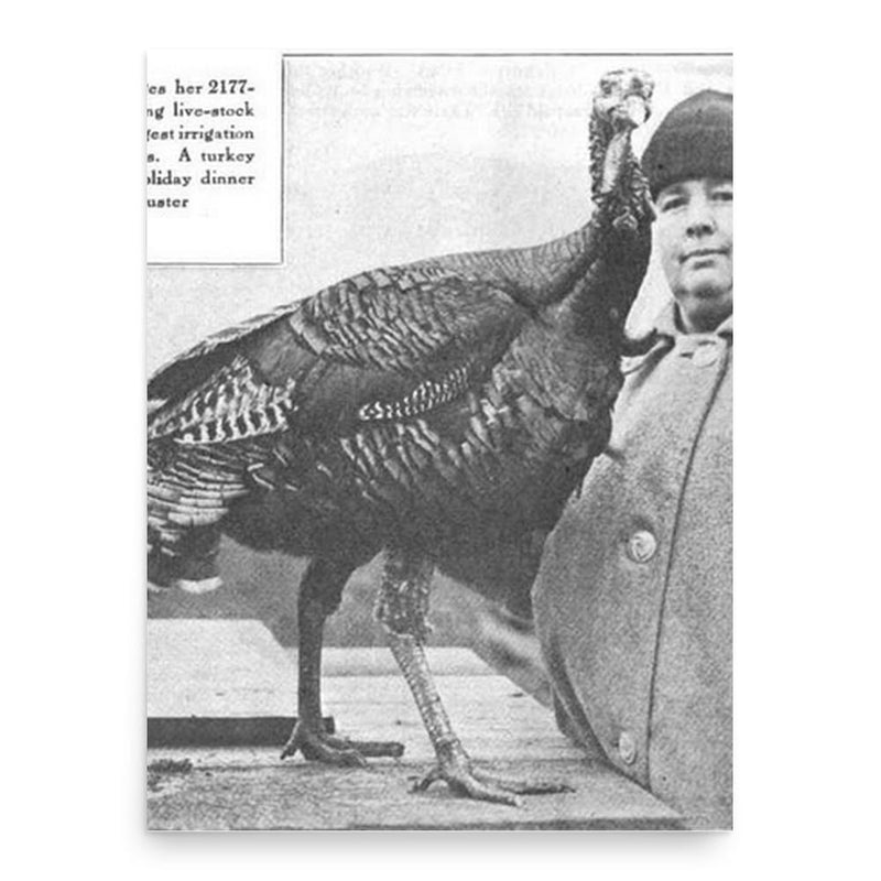 California Gibson poster print, in size 18x24 inches.