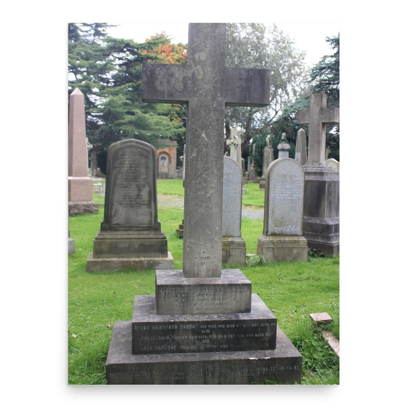 Cameron Lees poster print, in size 18x24 inches.