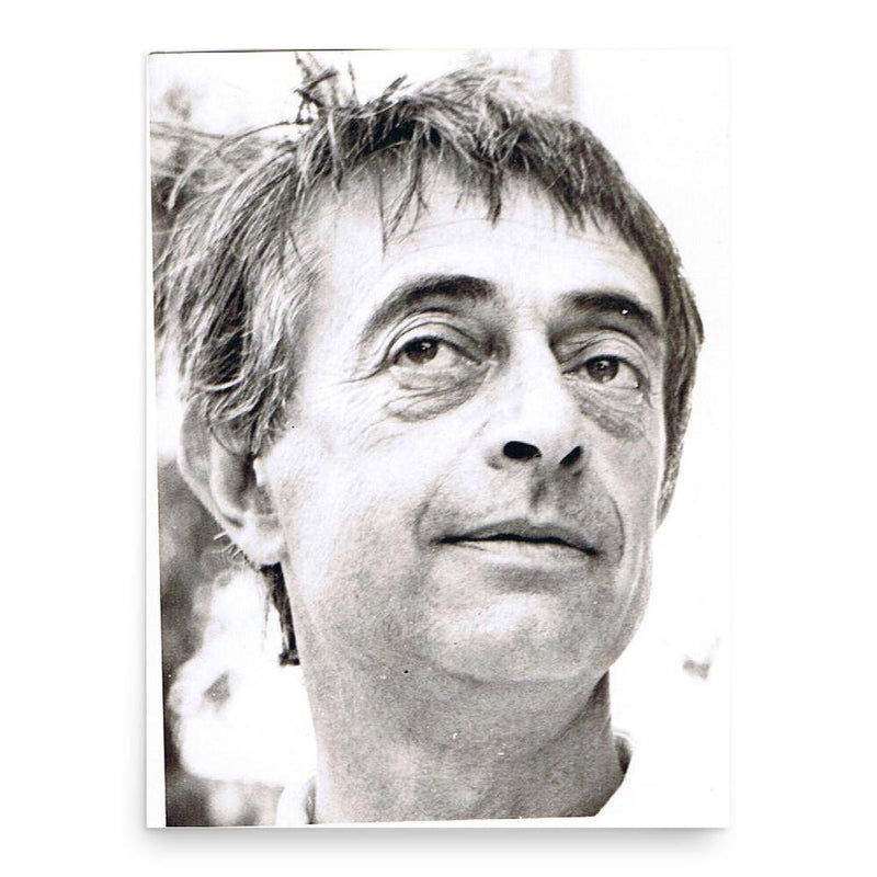 Camil Baciu poster print, in size 18x24 inches.