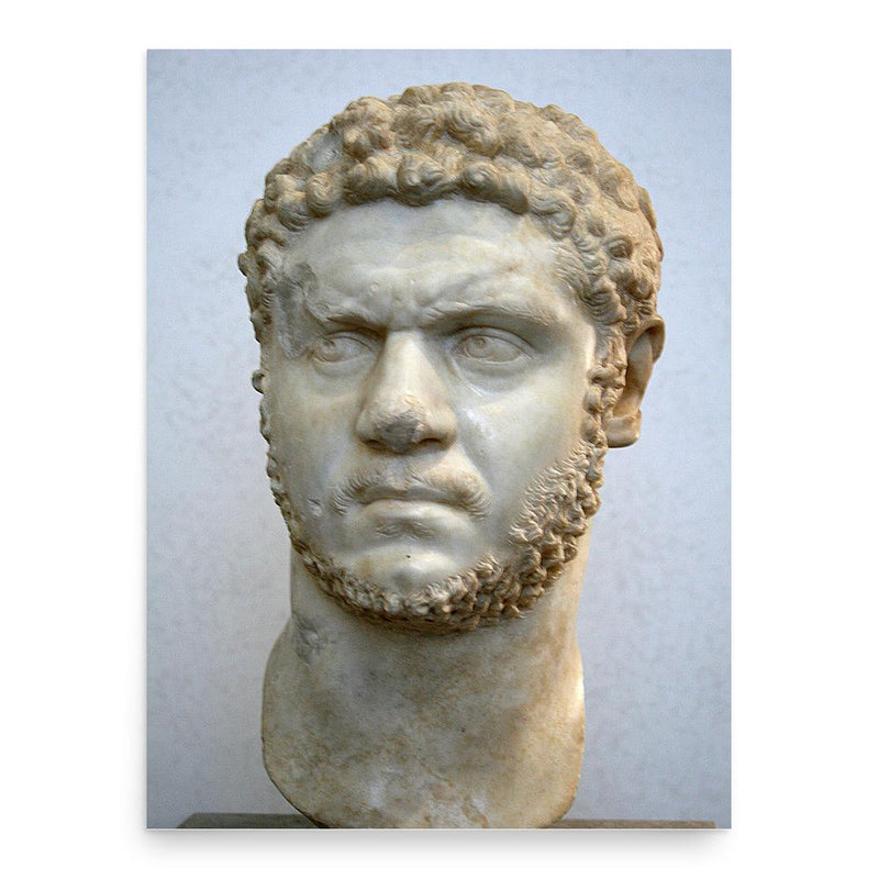 Caracalla poster print, in size 18x24 inches.