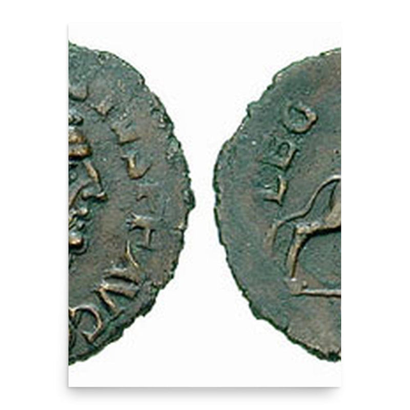 Carausius poster print, in size 18x24 inches.