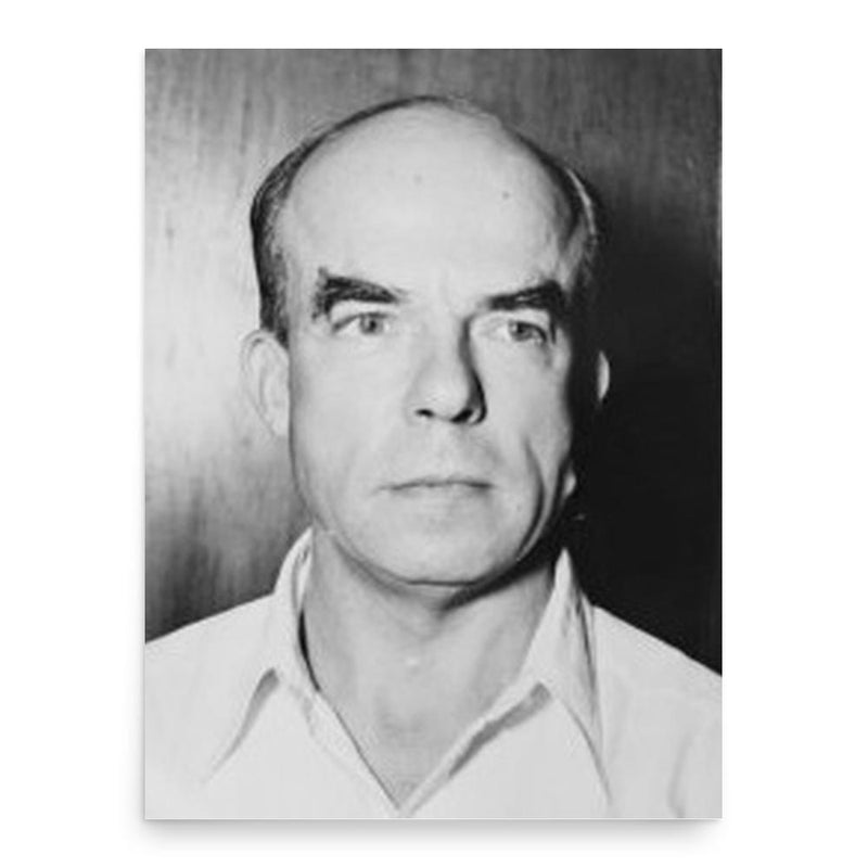 Carel de Villeneuve poster print, in size 18x24 inches.