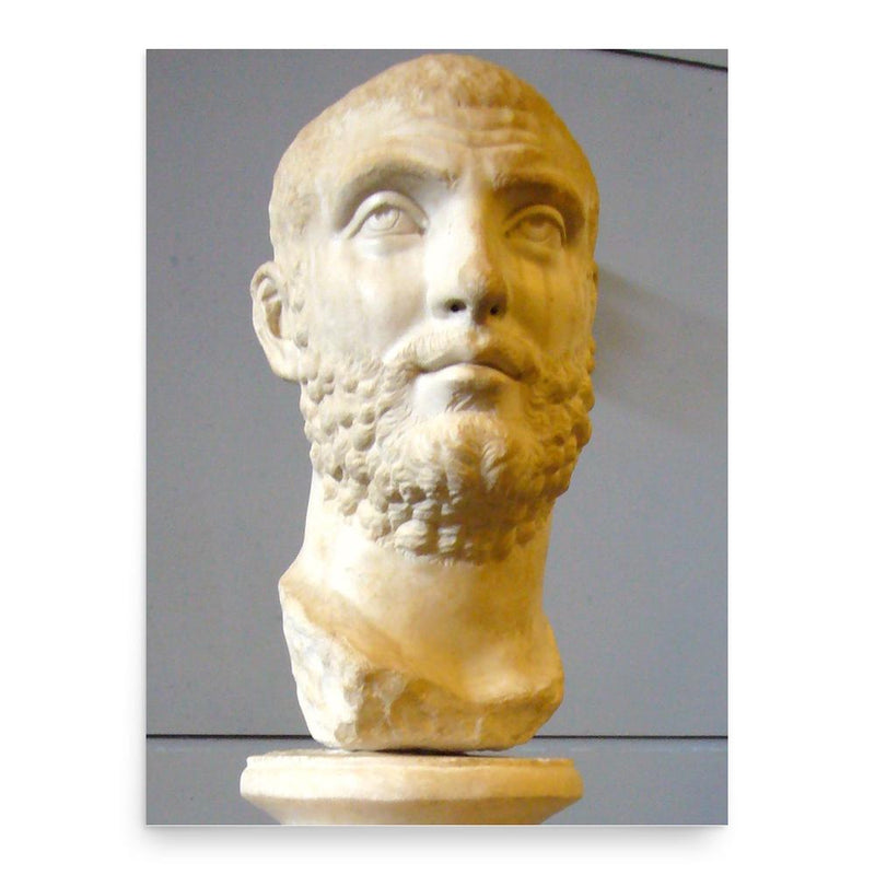 Carinus poster print, in size 18x24 inches.