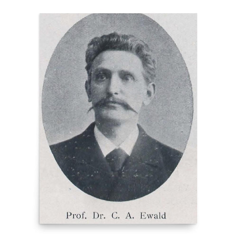 Carl Anton Ewald poster print, in size 18x24 inches.