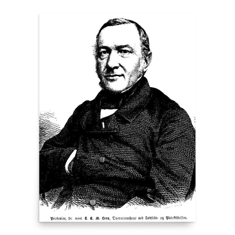 Carl Edvard Marius Levy poster print, in size 18x24 inches.