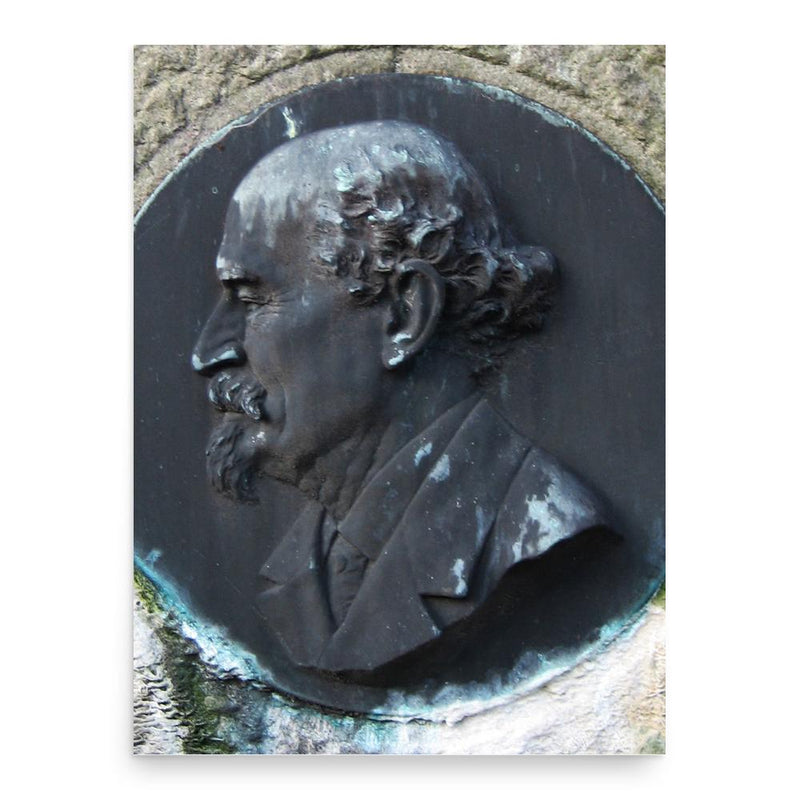 Carl Gustaf Thomson poster print, in size 18x24 inches.