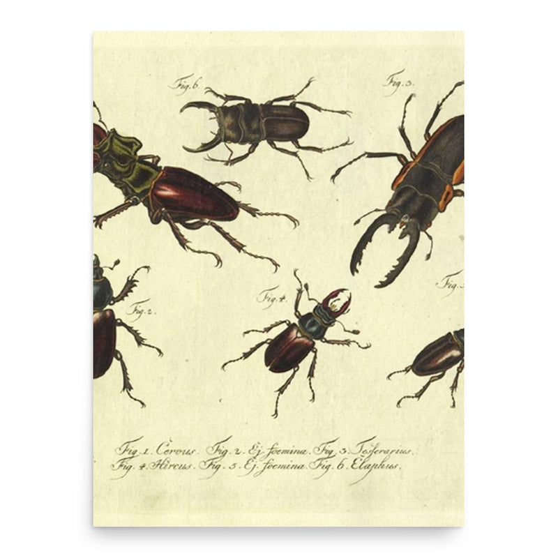 Carl Gustav Jablonsky poster print, in size 18x24 inches.