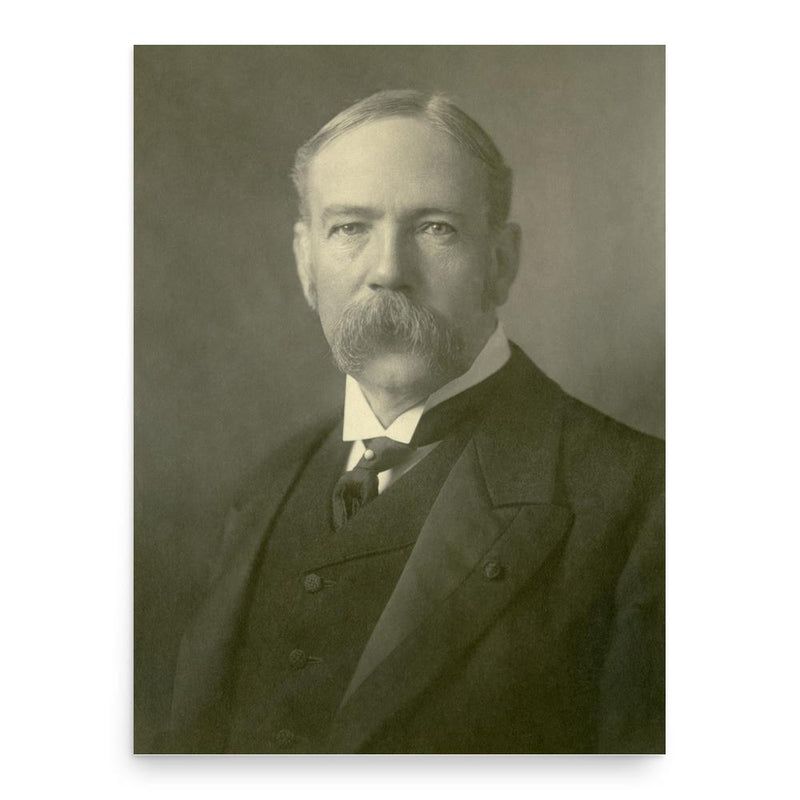 Carl Gustav Thulin poster print, in size 18x24 inches.