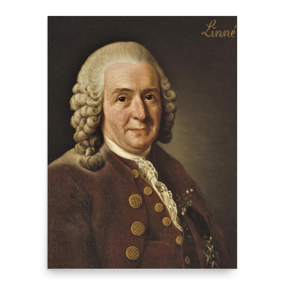 Carl Linnaeus poster print, in size 18x24 inches.