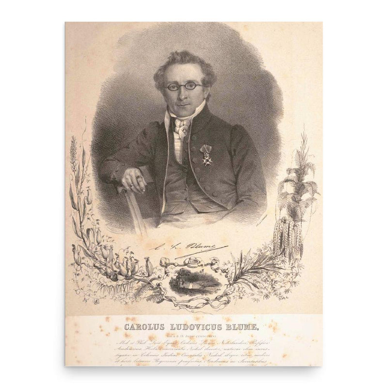 Carl Ludwig Blume poster print, in size 18x24 inches.