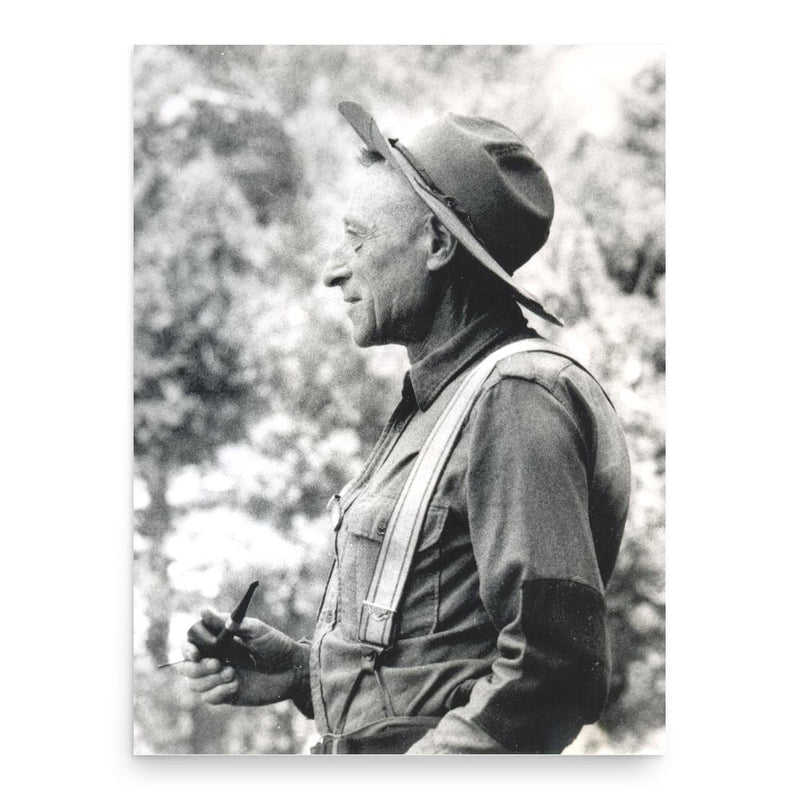 Carl Sharsmith poster print, in size 18x24 inches.