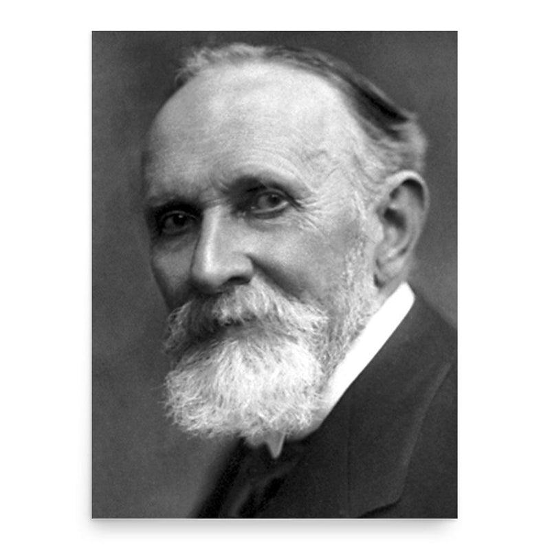 Carl Spitteler poster print, in size 18x24 inches.