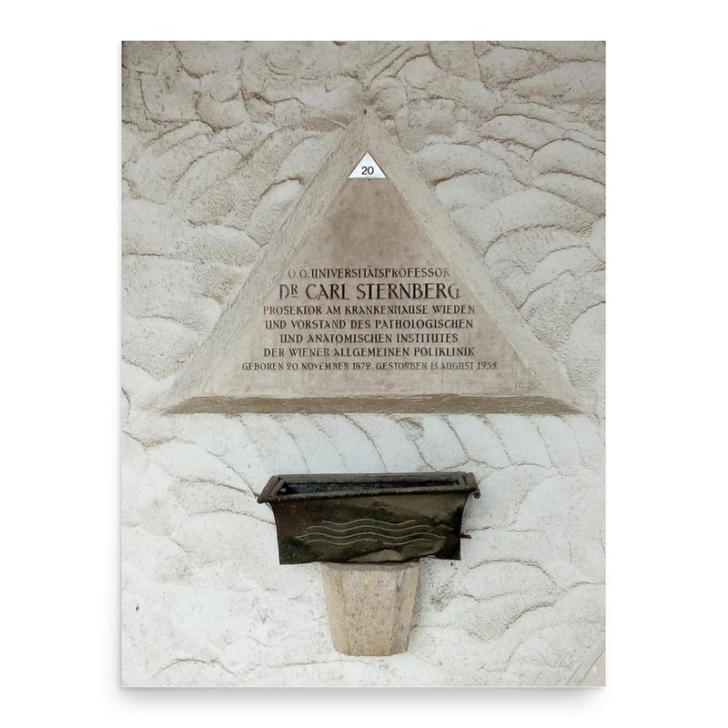 Carl Sternberg poster print, in size 18x24 inches.