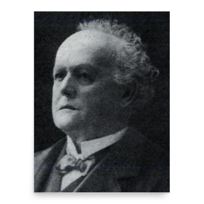 Carl Theodor Schulz poster print, in size 18x24 inches.