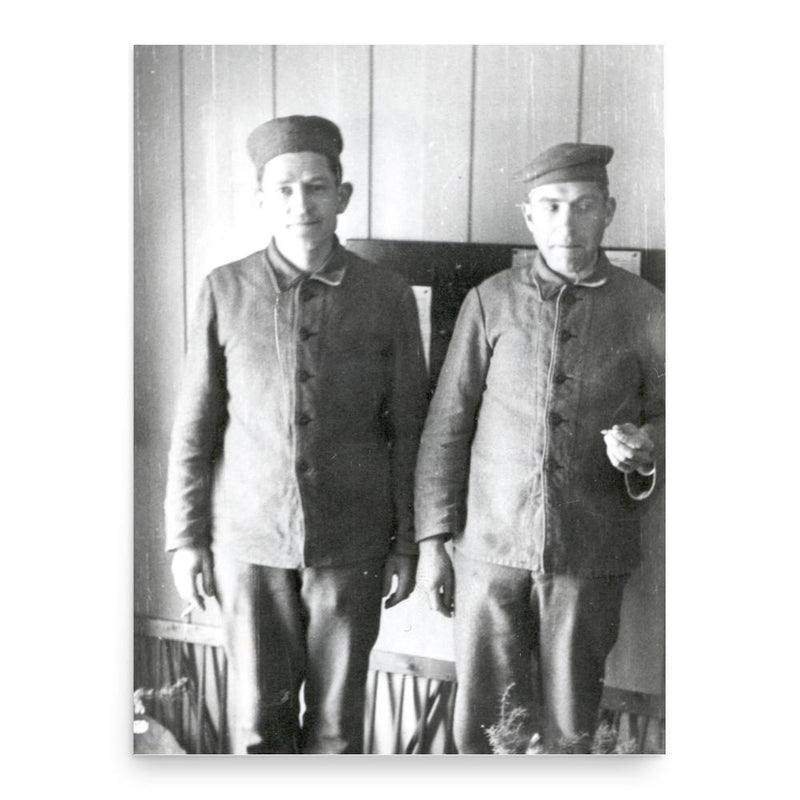 Carl Viggo Lange poster print, in size 18x24 inches.