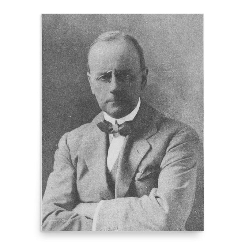 Carl Wille Schnitler poster print, in size 18x24 inches.