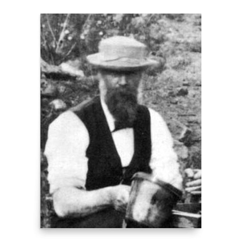 Carleton Watkins poster print, in size 18x24 inches.