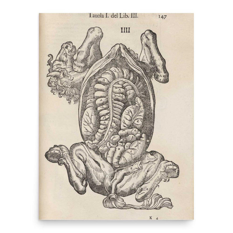 Carlo Ruini poster print, in size 18x24 inches.