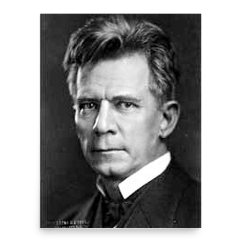 Carlos Bee poster print, in size 18x24 inches.