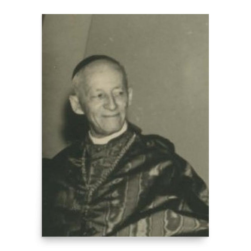 Carlos Carmelo Vasconcellos Motta poster print, in size 18x24 inches.