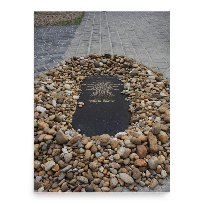 Carlos de Liz-Texeira Branquinho poster print, in size 18x24 inches.