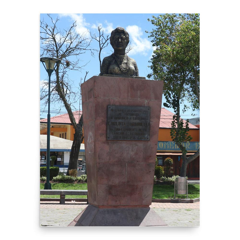 Carlota Jaramillo poster print, in size 18x24 inches.