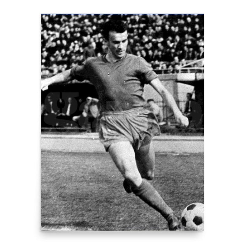 Carol Creiniceanu poster print, in size 18x24 inches.