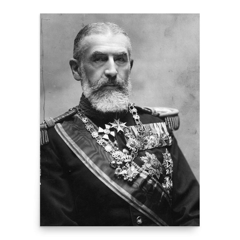 Carol I of Romania poster print, in size 18x24 inches.