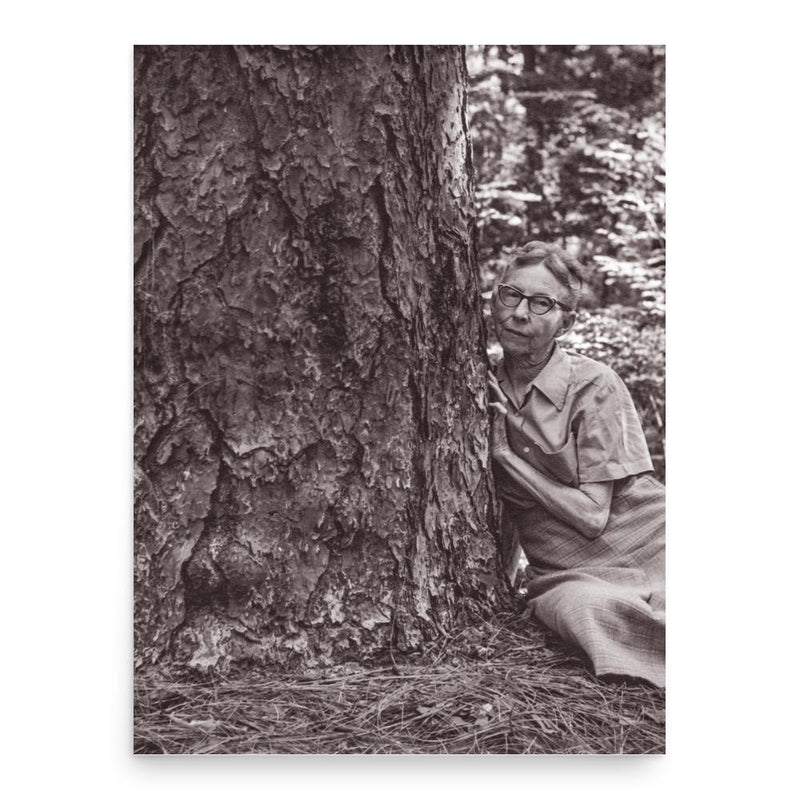 Caroline Dormon poster print, in size 18x24 inches.