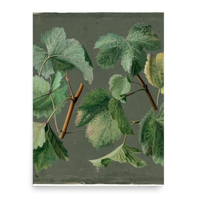 Caroline Friederike Friedrich poster print, in size 18x24 inches.