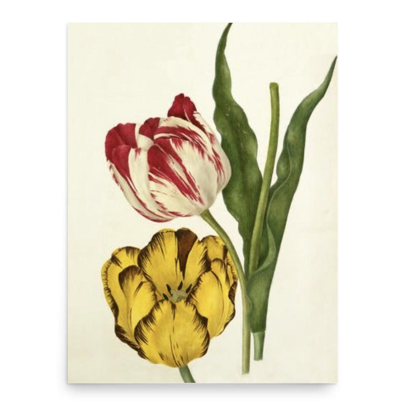 Caroline Maria Applebee poster print, in size 18x24 inches.