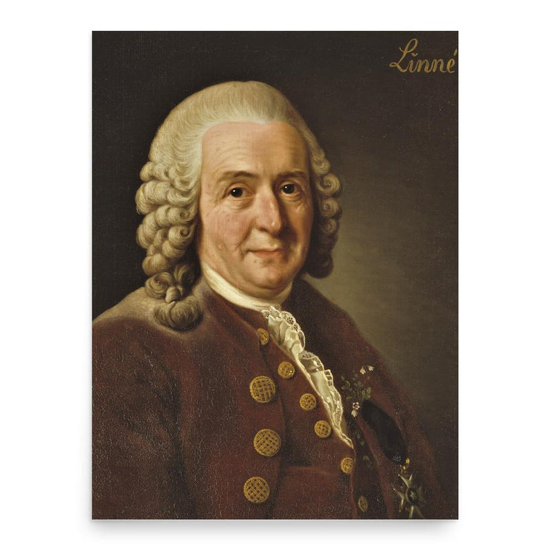 Carolus Linnaeus poster print, in size 18x24 inches.