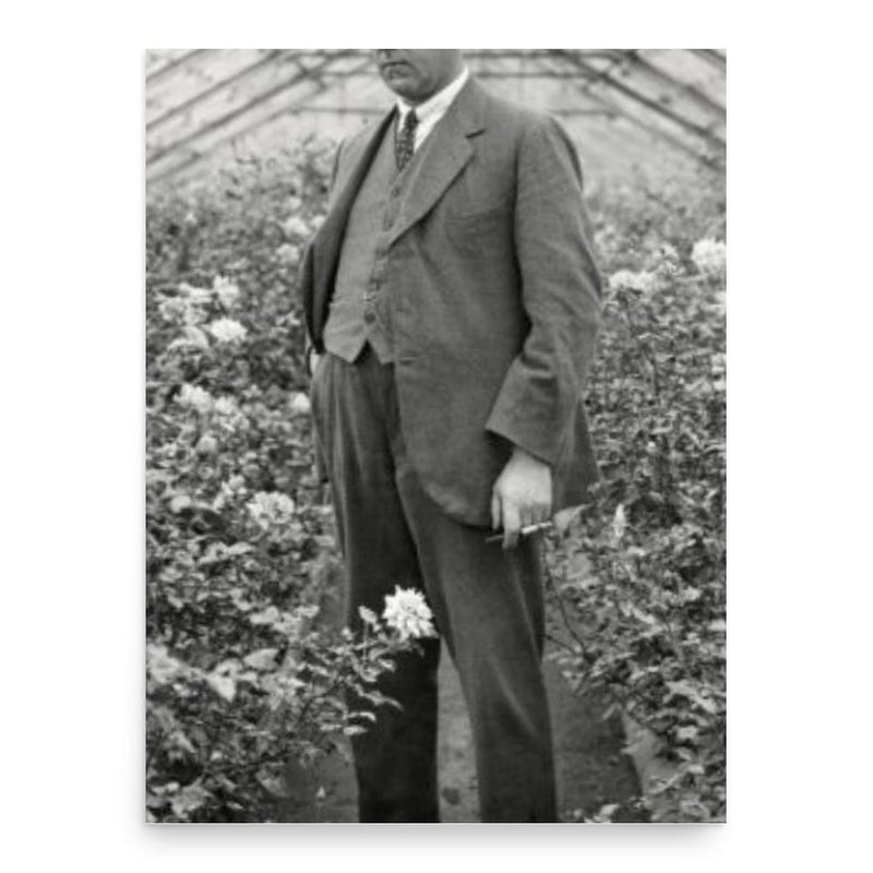 Carst Posthuma poster print, in size 18x24 inches.