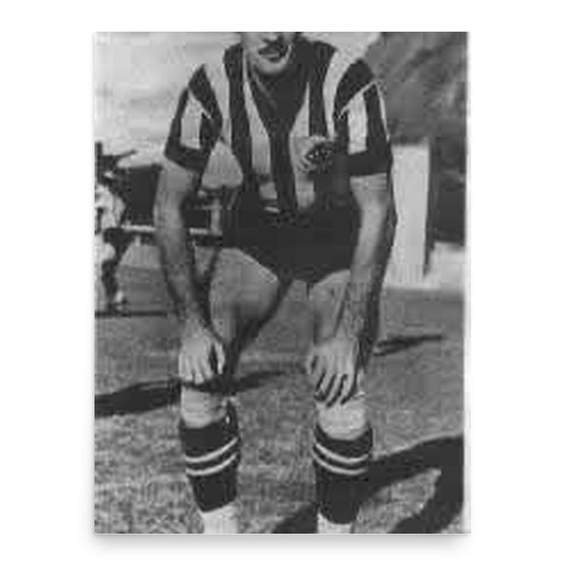 Carvalho Leite poster print, in size 18x24 inches.