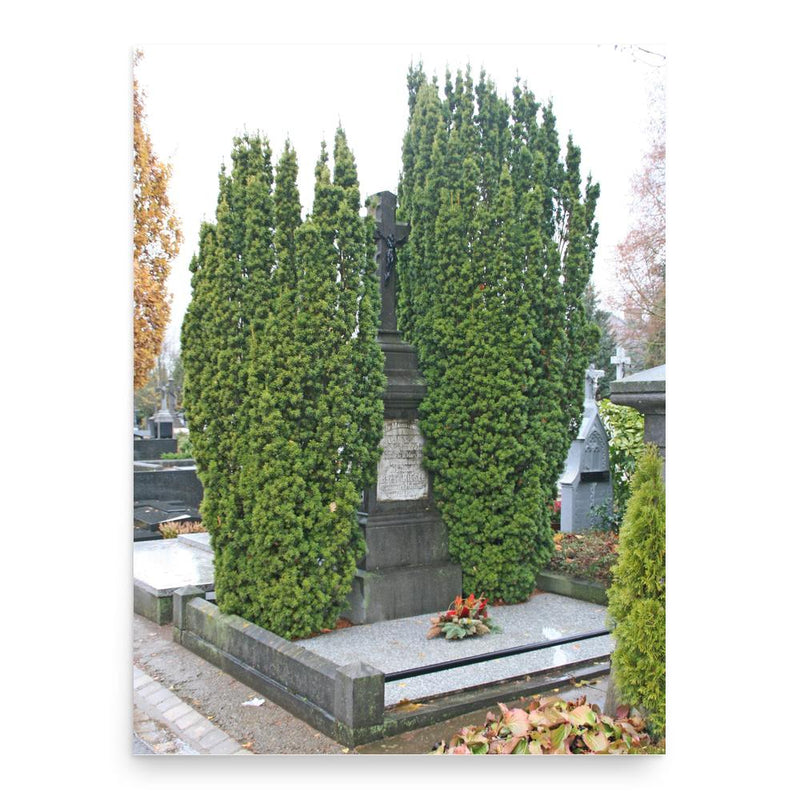 Caspar Mathias Spoo poster print, in size 18x24 inches.