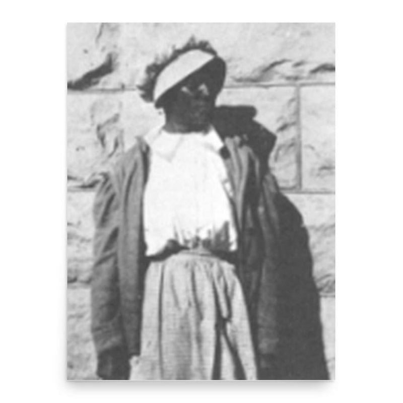 Cathay Williams poster print, in size 18x24 inches.