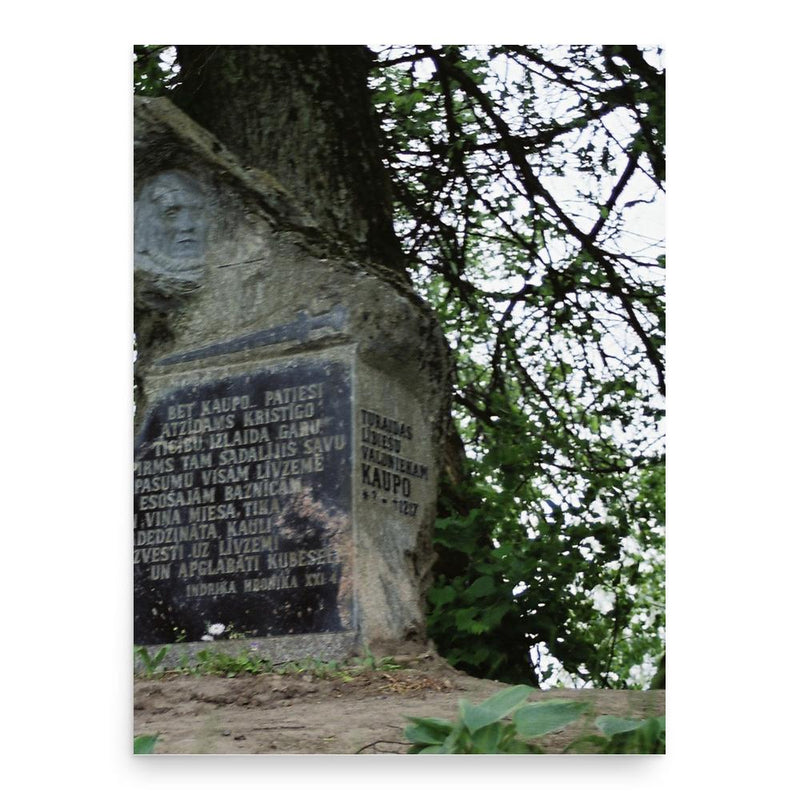 Caupo of Turaida poster print, in size 18x24 inches.