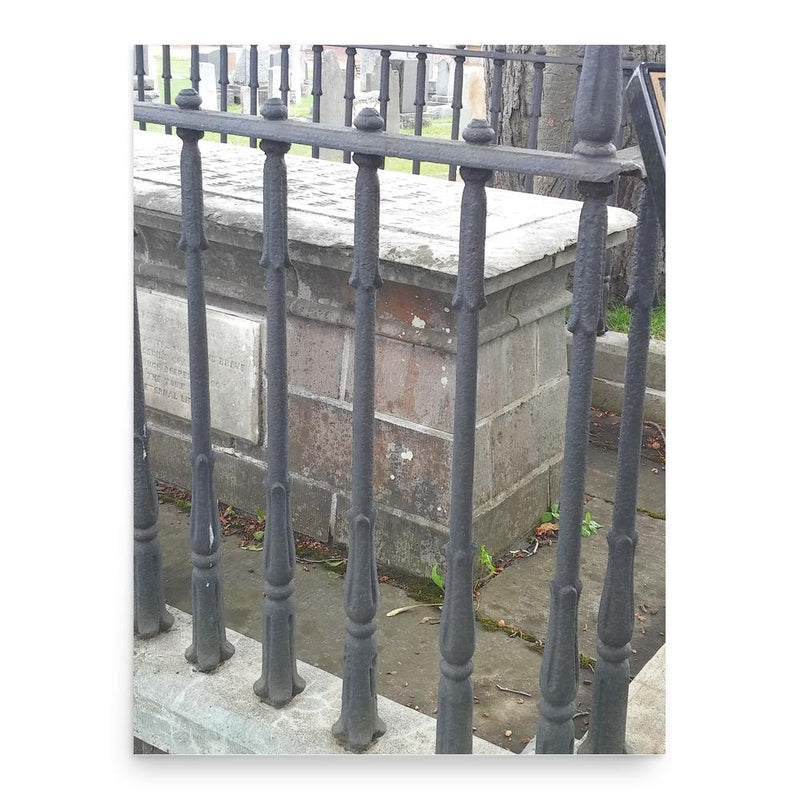 Cecil Bisshopp poster print, in size 18x24 inches.