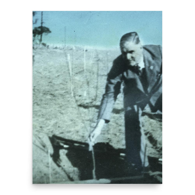 Cecil Hincks poster print, in size 18x24 inches.