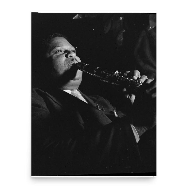 Cecil Scott poster print, in size 18x24 inches.