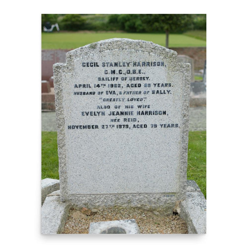 Cecil Stanley Harrison poster print, in size 18x24 inches.