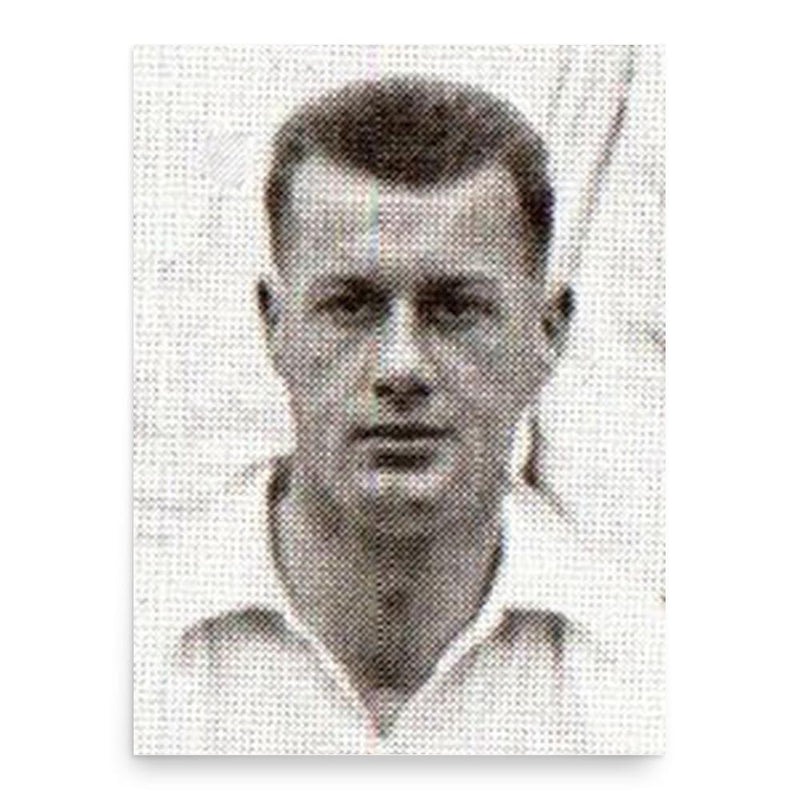 Cedric Elmes poster print, in size 18x24 inches.