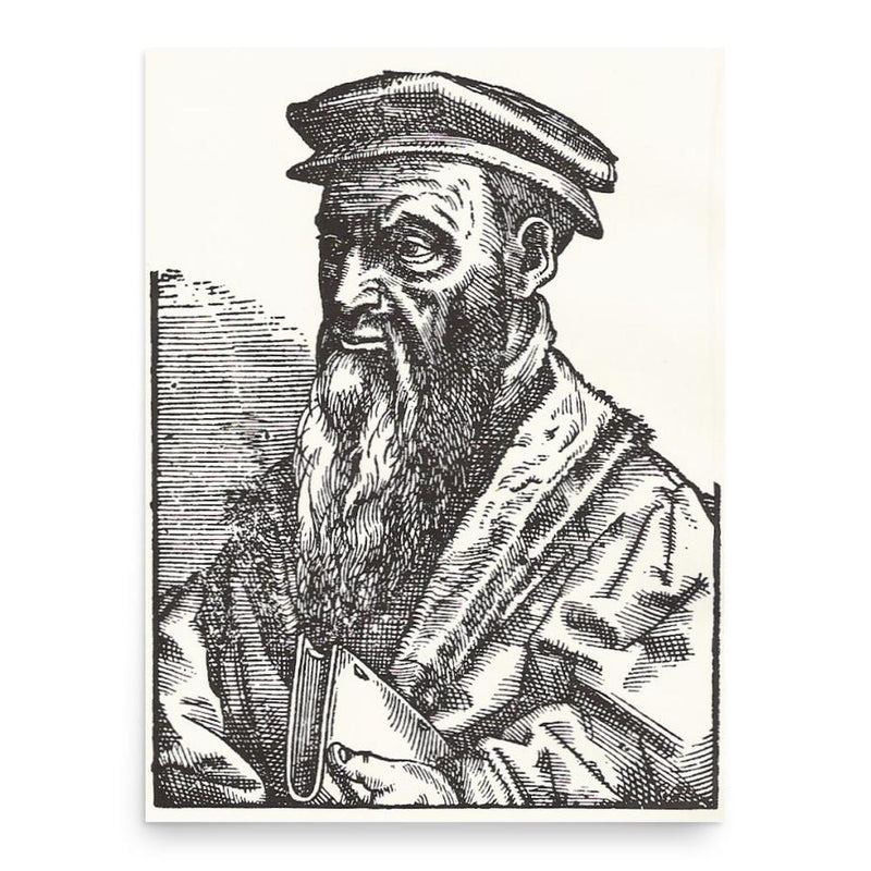 Celio Secondo Curione poster print, in size 18x24 inches.