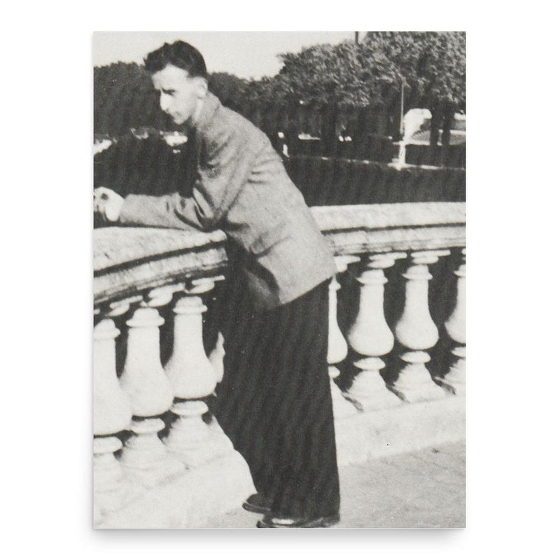 Celou Arasco poster print, in size 18x24 inches.