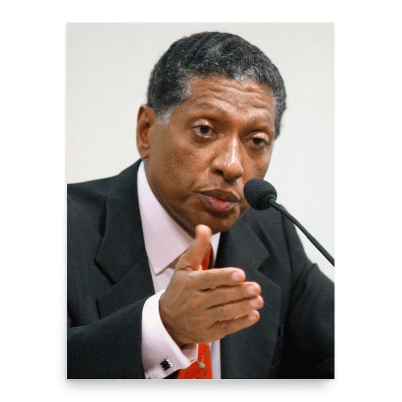 Celso Pitta poster print, in size 18x24 inches.