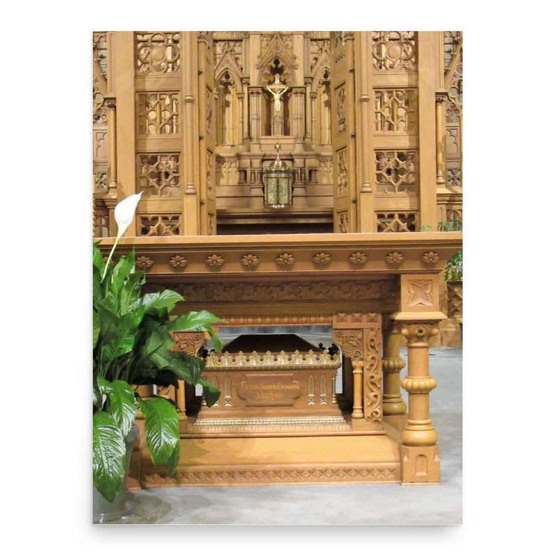 Cessianus poster print, in size 18x24 inches.