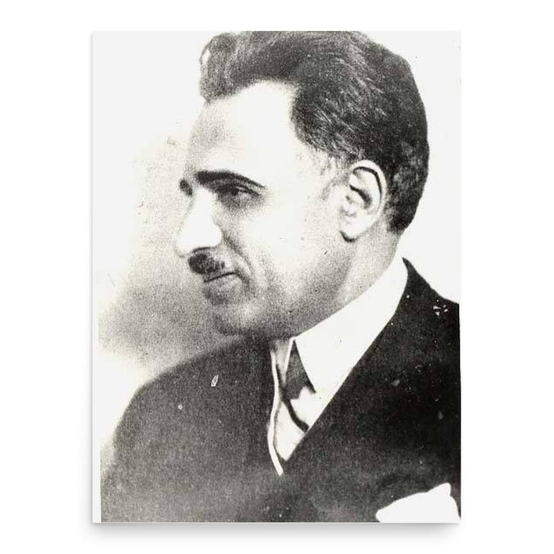 Cezar Papacostea poster print, in size 18x24 inches.