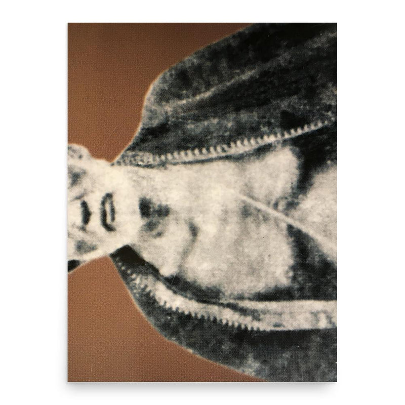 Chadalavada Sundararamasastri poster print, in size 18x24 inches.